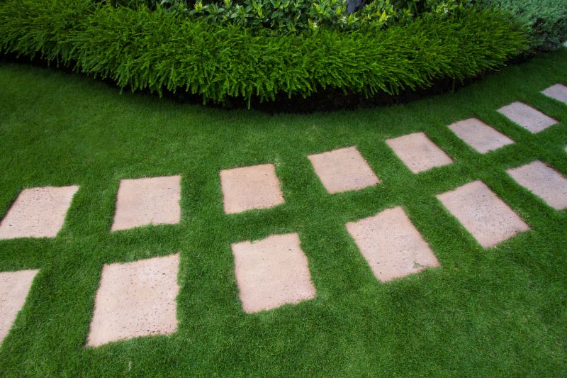Backyard Paving